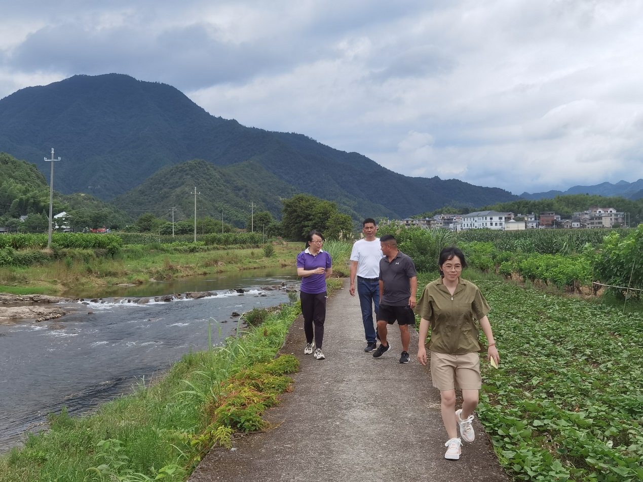 岳和我厨房做爽死我了A片视频